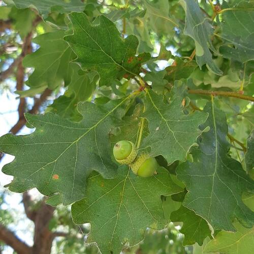 Photo #13948649