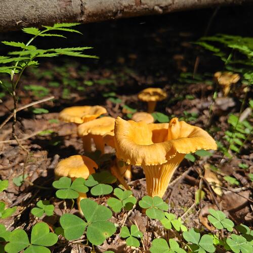 Photo #13948856