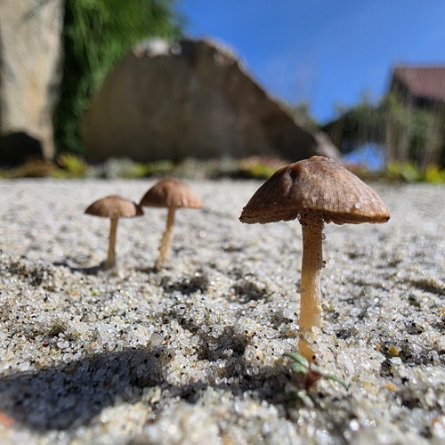 Photo #13949046