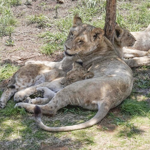 Photo #13949075