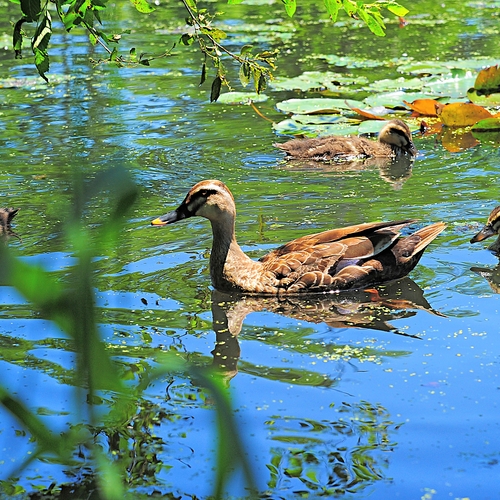Photo #13949218
