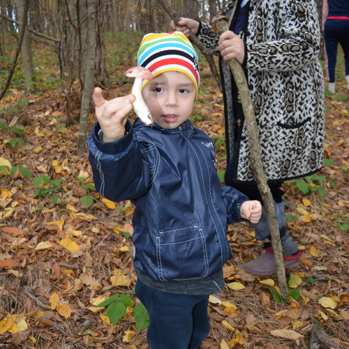 Photo #13949318
