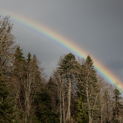 Photo #13949353