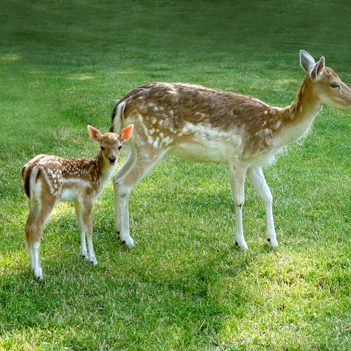Photo #13949494