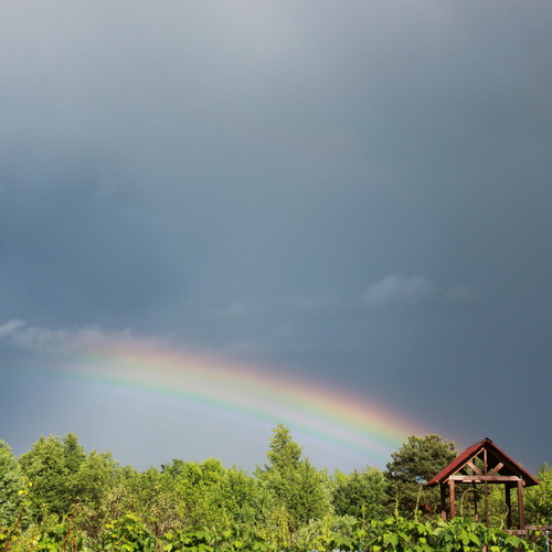 Photo #13949552