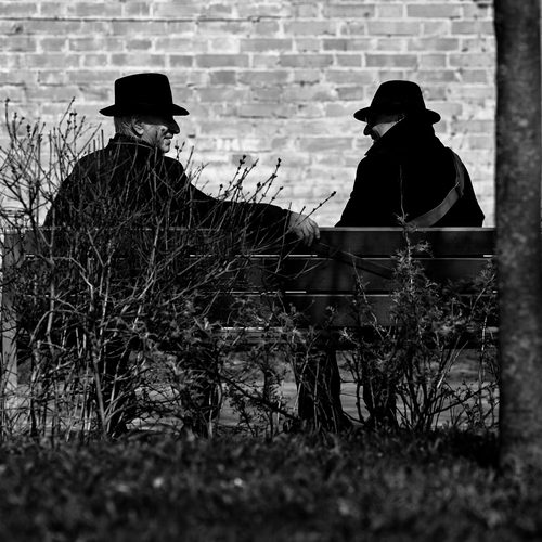 The hatters