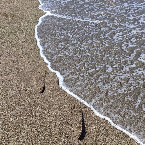 Photo #13949782