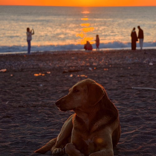 Photo #13949969