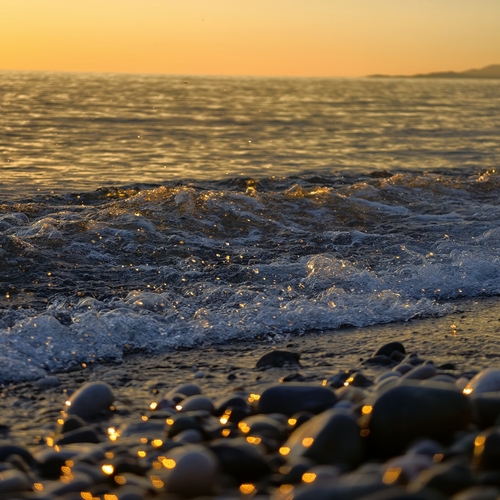 Photo #13949979
