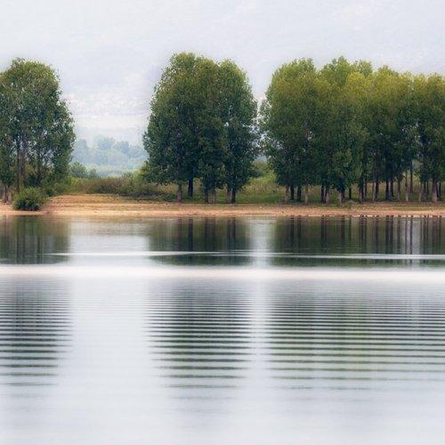 Reflections