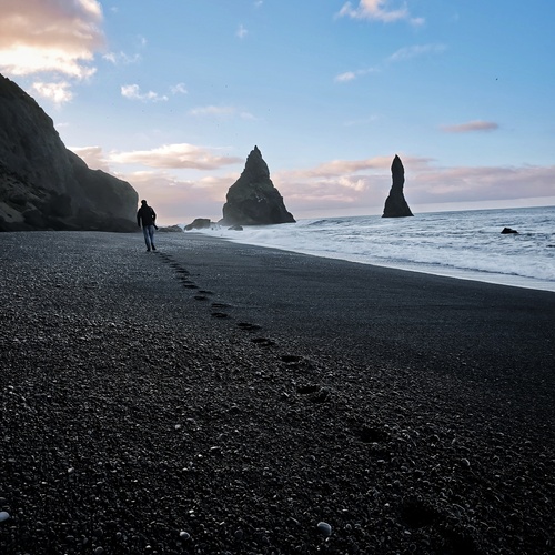 Photo #13950045