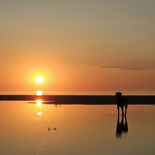 Photo #13950063
