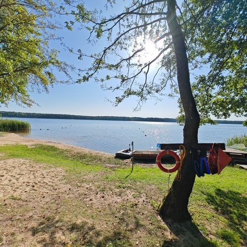 Photo #13950219