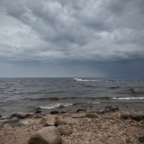 Photo #13950226