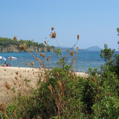 Photo #13950328