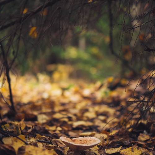 Photo #13950600