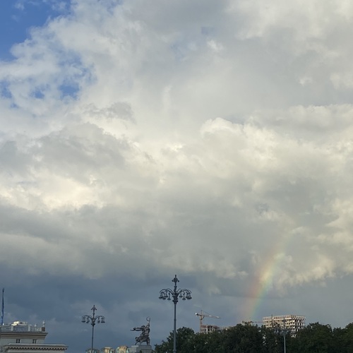 Photo #13950661