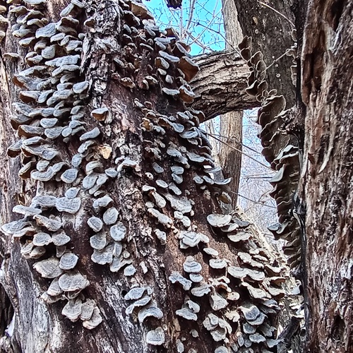 Photo #13950664
