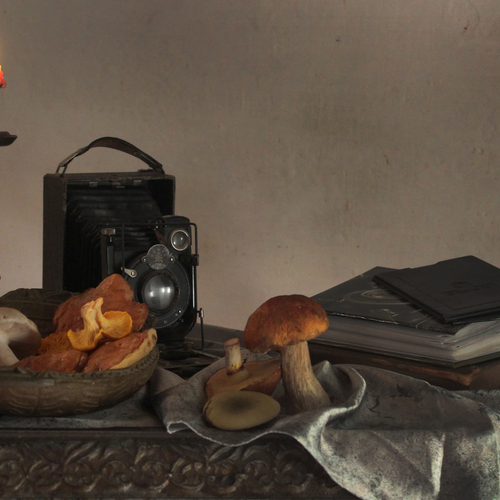 Photo #13950676