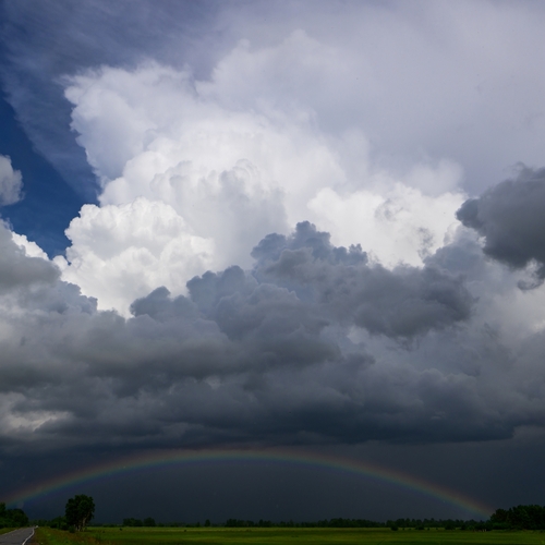 Photo #13950684