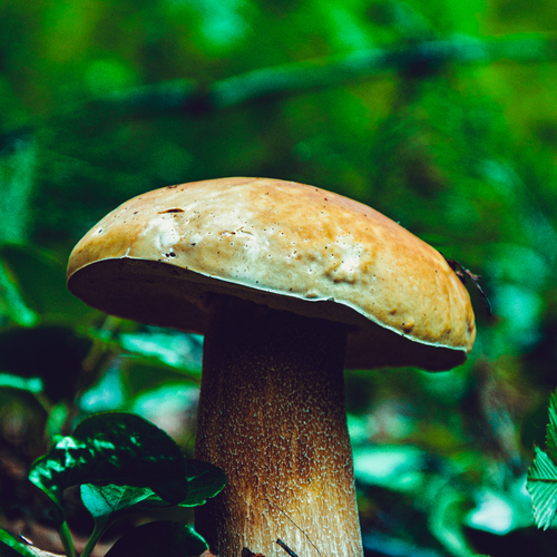 Photo #13950699