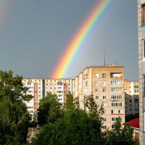 Photo #13950704