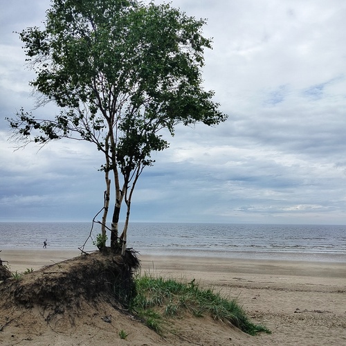 Photo #13950730