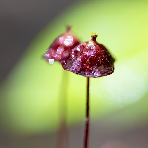 Photo #13950747