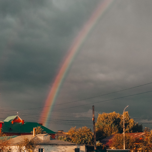 Photo #13950790