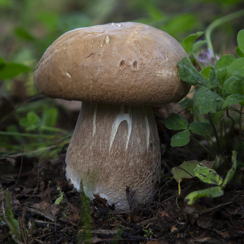 Photo #13950796
