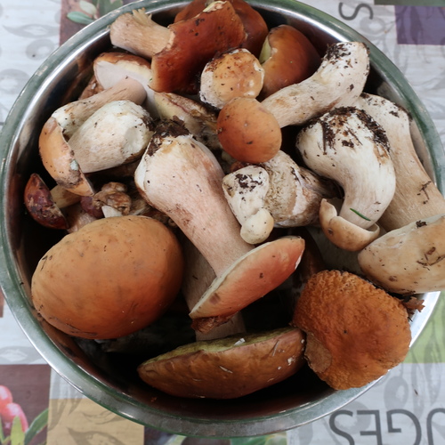 Photo #13950886