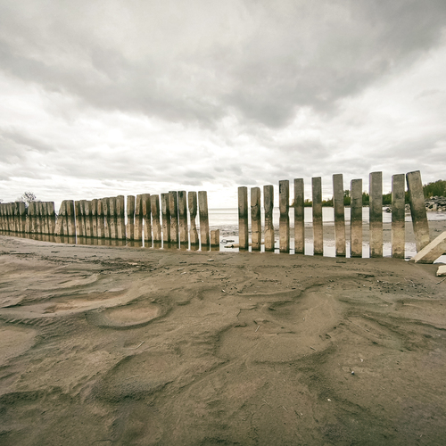 Photo #13950994