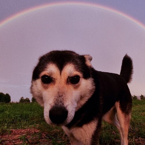 Photo #13951204