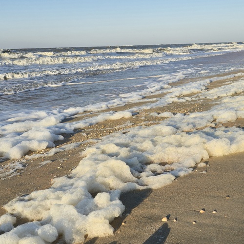 Photo #13951216