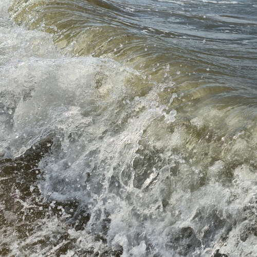 Photo #13951221