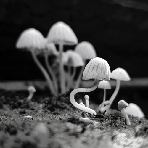Photo #13951226