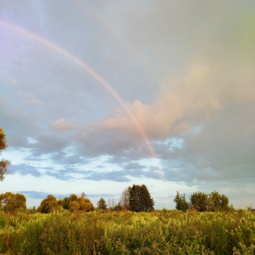 Photo #13951404