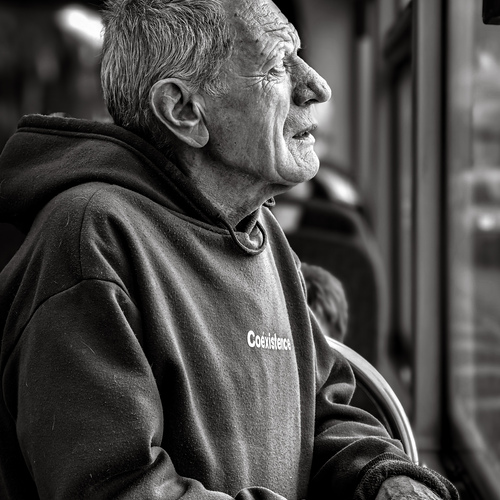 Photo #13951444