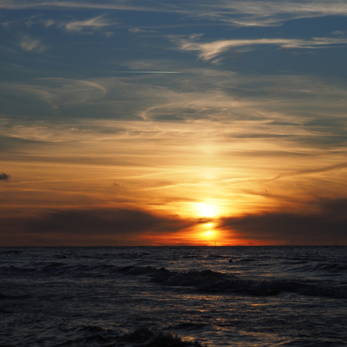 Photo #13951461