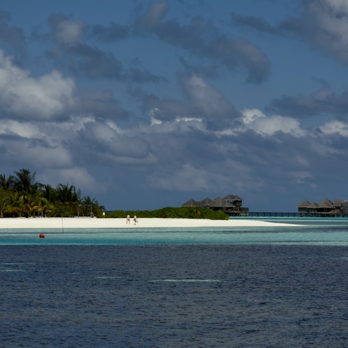 Photo #13951467