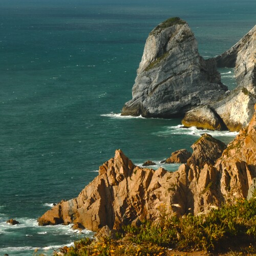 Photo #13951527