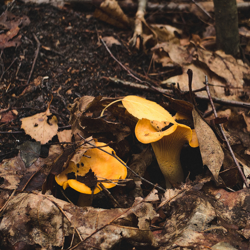 Photo #13951566