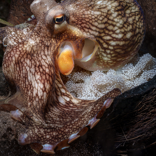 Photo #13951745