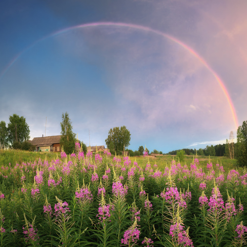 Photo #13951838