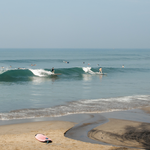 Photo #13951891