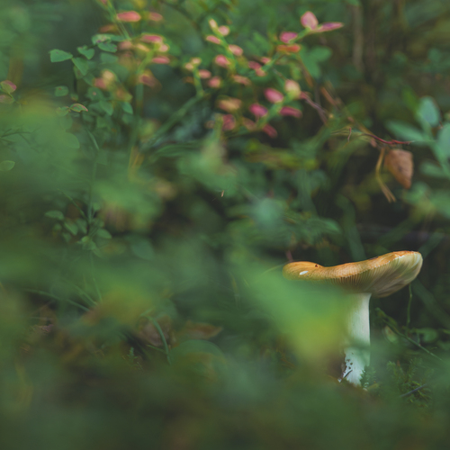 Photo #13952022