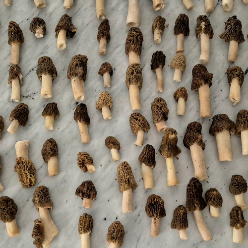 Photo #13952317