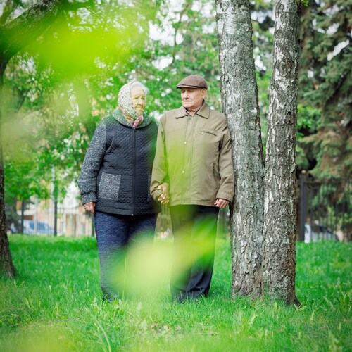 Photo #13952411