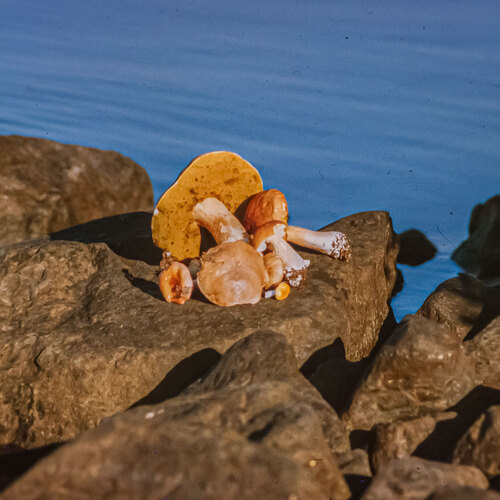 Photo #13952414