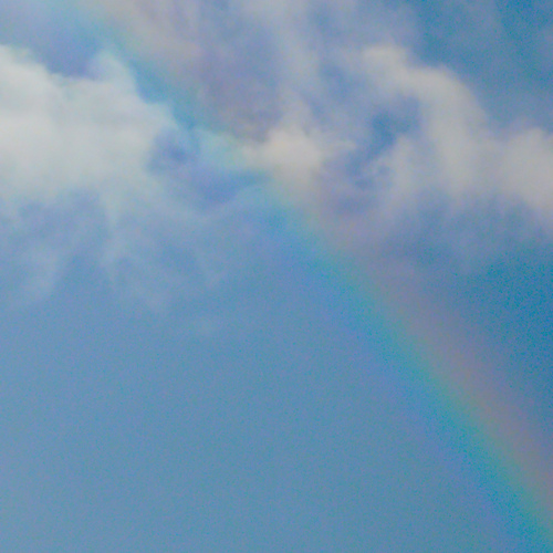 Photo #13952425